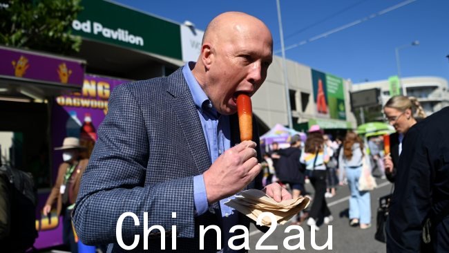 反对党领袖彼得·达顿 (Peter Dutton) 咀嚼山茱萸的照片去年 Ekka 上的狗走红了。图片:NCA NewsWire / Dan Peled