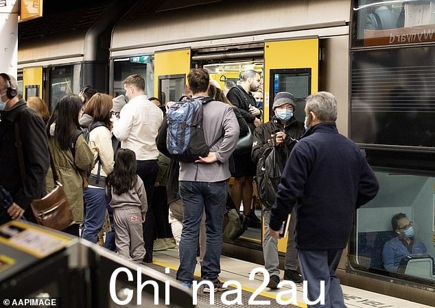 一位经济学家表示,创纪录的移民数量正在降低澳大利亚人的工作效率,并阻止他们拥有自己的房子(图为悉尼温亚德火车站)
