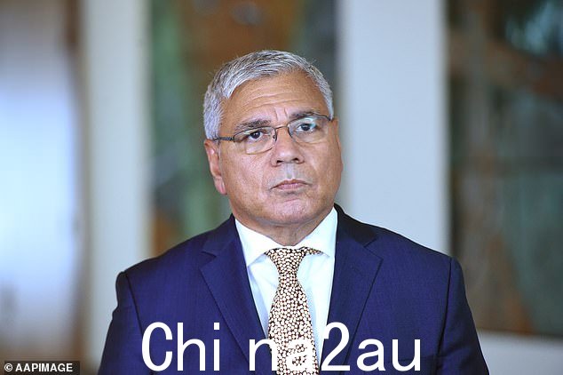 反对投票倡导者沃伦·芒丁 (Warren Mundine) 指责支持者“靠人民的苦难生活”