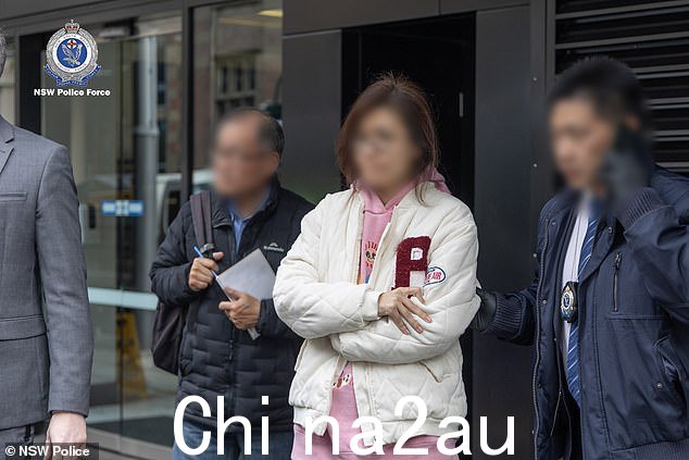 两名被捕者被指控处理犯罪所得,并于周四在伯伍德和唐宁中心地方法院出庭