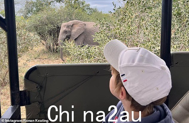 Safari:一家人在享受狩猎之旅时一起留下了回忆