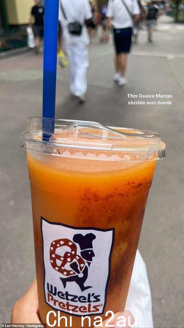 Sweet treat:在她的迪士尼乐园帖子标题中开玩笑说她和达姆森去迪士尼乐园只是为了食物,洛里信守诺言,为她分享了她的食物和饮料照片数百万粉丝