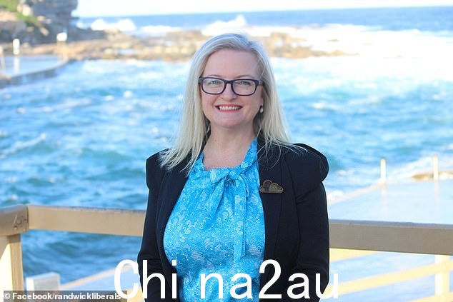 兰德威克议会自由议员克里斯蒂·汉密尔顿表示,天然气禁令是“无稽之谈”,并敦促总理克里斯·明斯考虑新南威尔士州居民在生活成本方面的挣扎