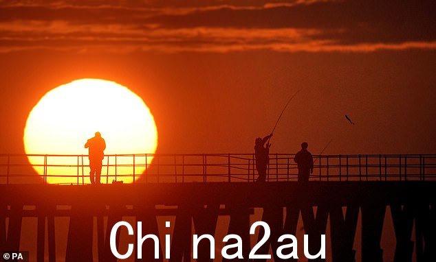 今天早上太阳在诺森伯兰布莱斯码头后面升起时,渔民捕捞鲭鱼