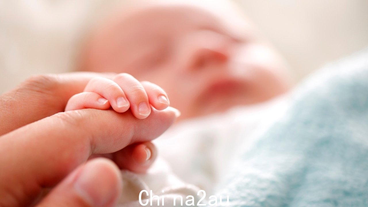 在克里特岛被拘留的澳大利亚新生儿代孕诊所人口贩卖指控