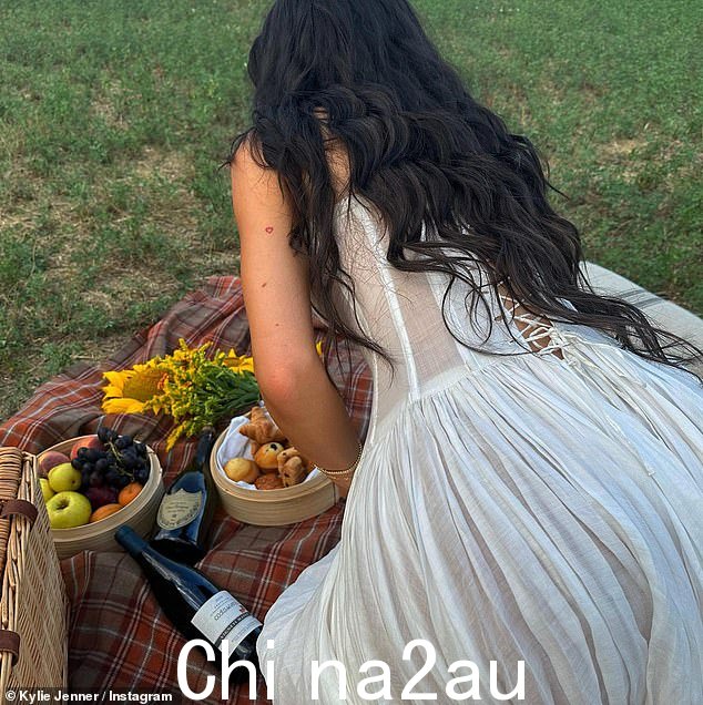 浪漫:当她在郁郁葱葱的草地上的毯子上放松时,她看起来浪漫的服装有一条飘逸、透明的裙子,裙子围绕着她
