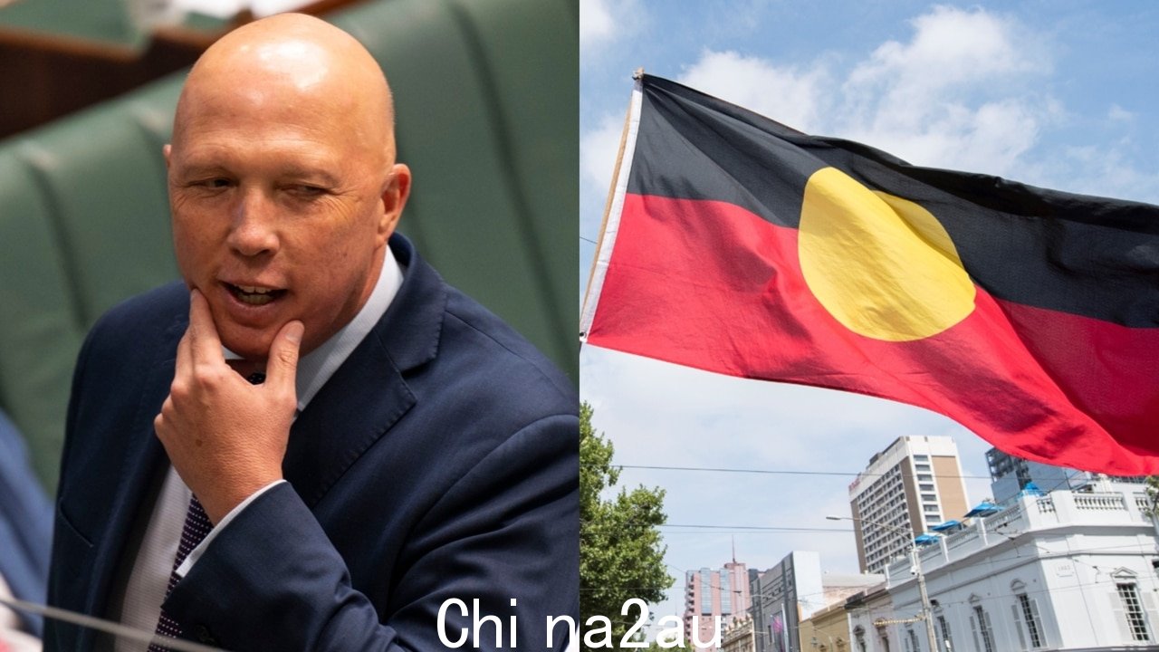 Peter Dutton 寻求改变声音公投的票数是如何计算的