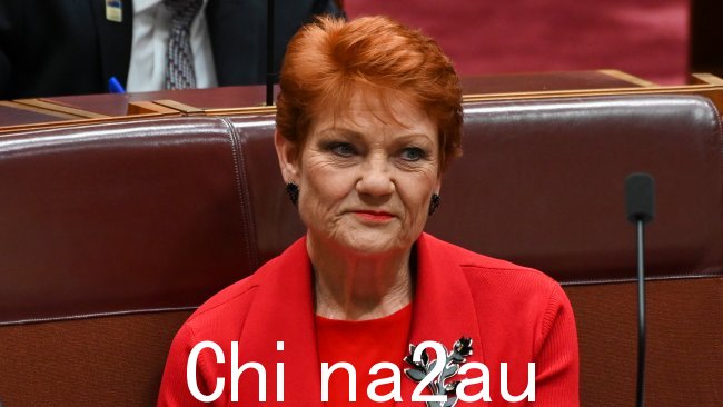 Pauline Hanson 已建议前总统唐纳德·特朗普应该从这张历史性的大头照中寻求经济利益。图片：NCA NewsWire / Martin Ollman