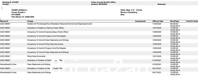 富尔顿县监狱公布了唐纳德·特朗普的预订记录,其中列出了指控和他的重要细节