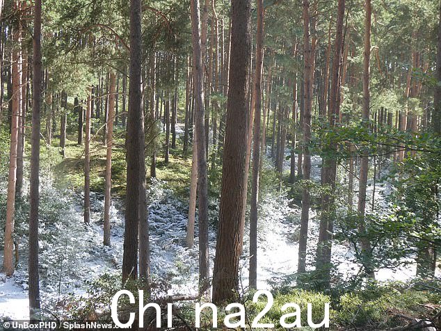 装饰:该套装采用模仿雪的白色粉末精心设计