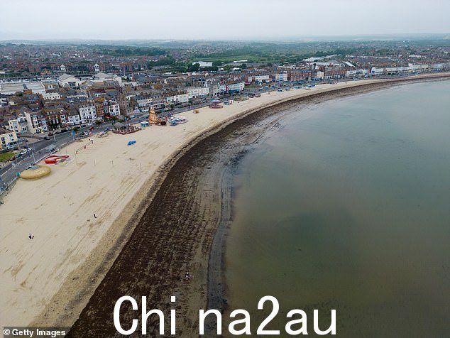 Swimmers complained of having to wade through the carpet of kelp to get to the sea