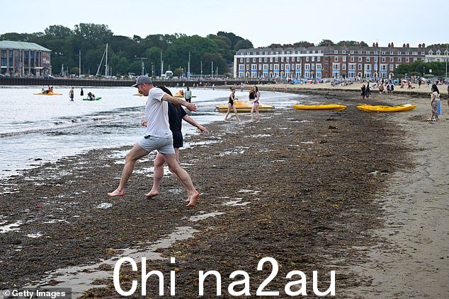 More than 1,000 tonnes of seaweed has been removed from Kent's holiday beaches