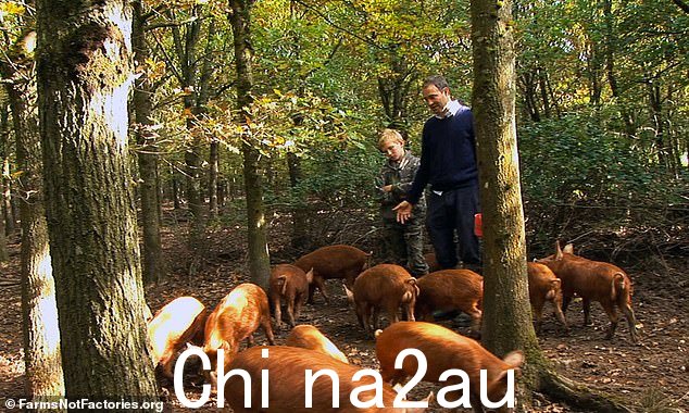 变形:他说:“我开始拆除栅栏和沟渠,让大自然重新开垦这片土地。春天,农场里充满了色彩和鸟鸣'