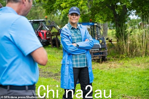 反抗:丹尼尔王子和维多利亚王妃过去被迫否认即将离婚的传言 - 但表示他们婚姻非常幸福