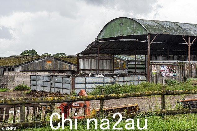 利亚姆·布朗潜入多塞特郡基督城附近伯顿的一个农场,实施了这一行为