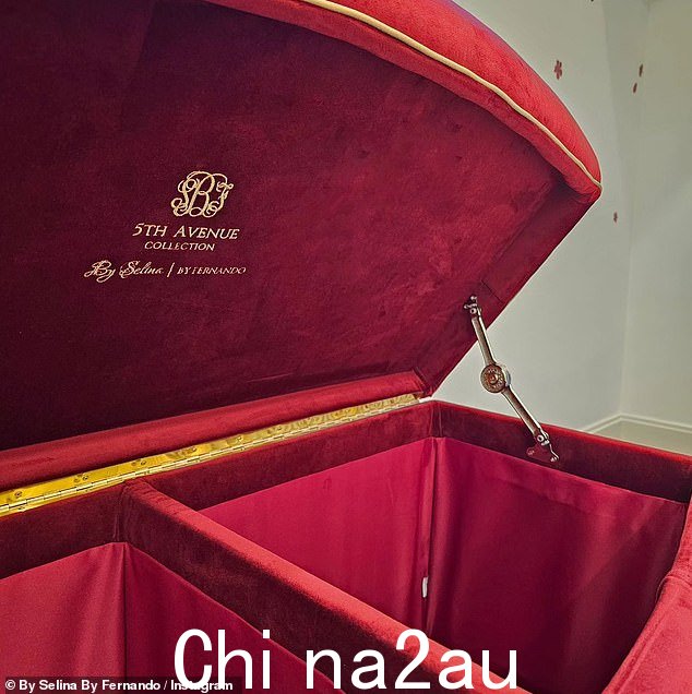 享受生活:设备齐全的托儿所中的一些奢侈品包括酒红色的箱子、高大的长颈鹿毛绒玩具,甚至还有步入式衣柜