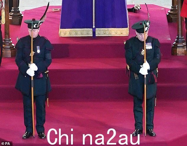 华莱士先生是皇家弓箭手连的成员,这意味着他去年参加了威斯敏斯特大厅为女王守夜的活动(如图)
