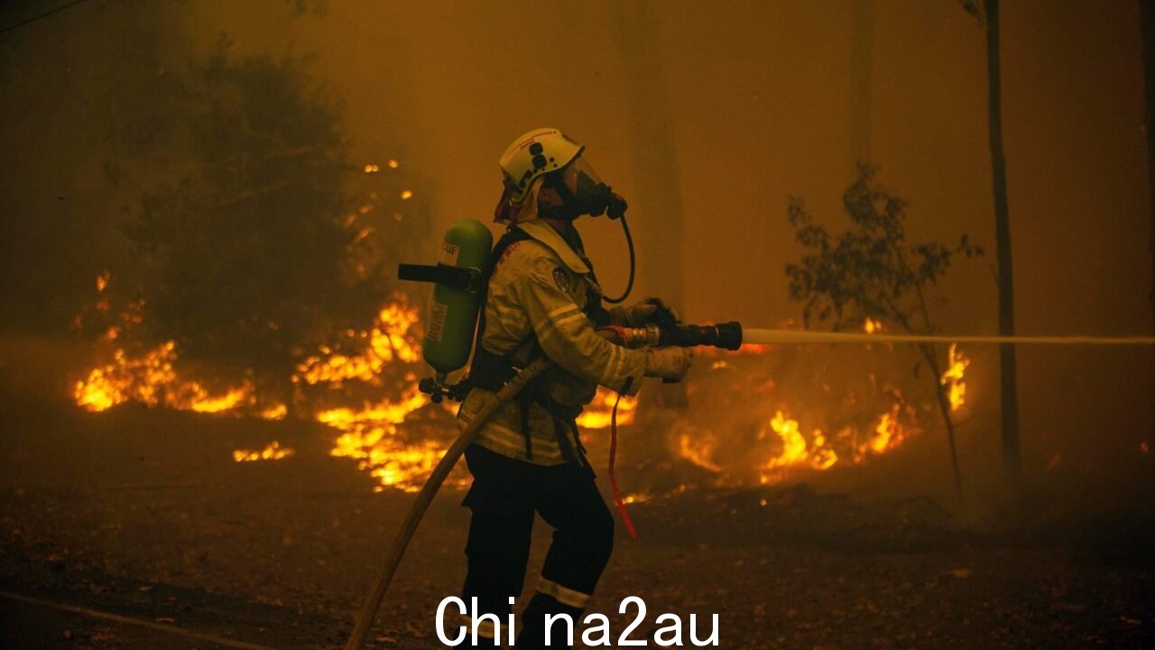 消防部门警告对于丛林大火来说，这可能是“迄今为止最严重的夏天”” fetchpriority=