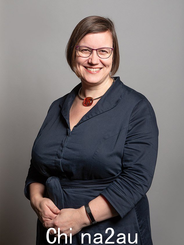 Dame Meg Hillier(如图)表示,由于加气混凝土而关闭学校教室“只是冰山一角”