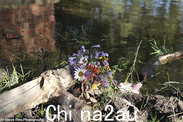尽管医护人员和菲尔的兄弟罗伯特尽了最大努力,这对老夫妇还是无法苏醒
