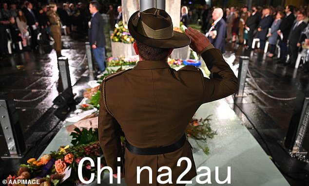 降级的澳洲航空乘客 Stephen Jones,78 岁,在澳大利亚越南战争前线部队之一服役(库存图片)