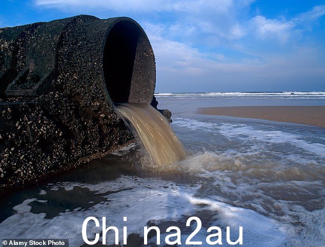 公司可以将污水排入水道,以防止管道系统不堪重负,但仅限于下雨时