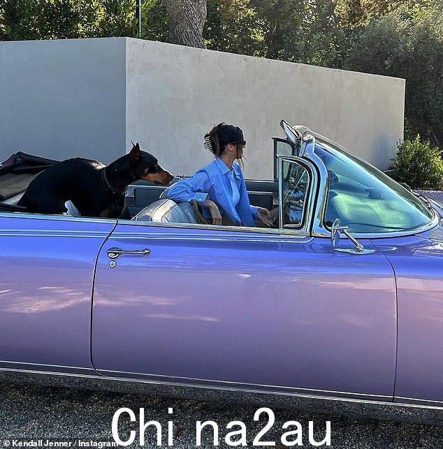 冲向夕阳:肯德尔·詹纳 (Kendall Jenner) 与她心爱的狗 Pyro 驾驶一辆时尚的紫色敞篷车合影;周一见