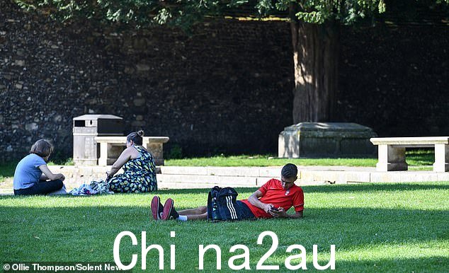 今天早上照片中的人们在汉普郡温彻斯特大教堂的树荫下放松