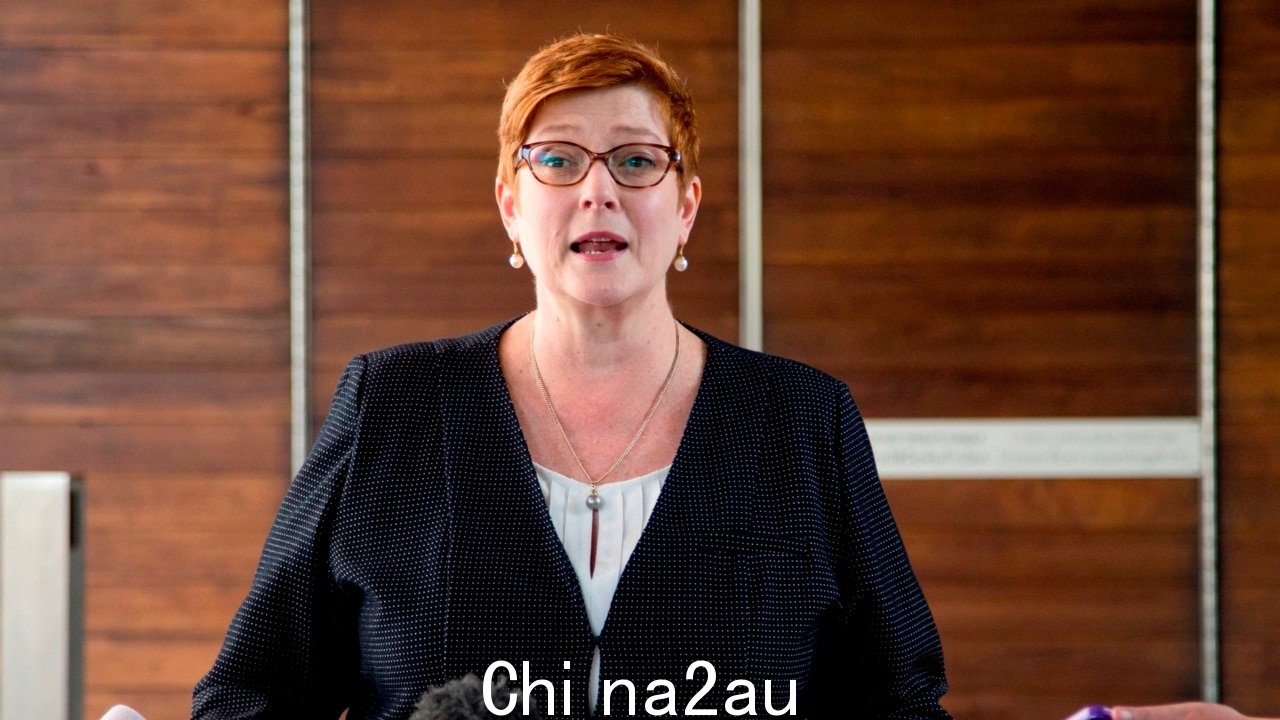 Marise Payne 宣布退休新南威尔士州参议院