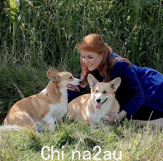 柯基犬穆克 (Corgis Muick) 和桑迪 (Sandy) 在女王去世后由莎拉·弗格森 (Sarah Ferguson) 照顾,安德鲁王子的前妻今天表示:“她委托我照顾她的柯基犬桑迪 (Sandy)、穆克 (Muick) 和我我很高兴地说它们正在蓬勃发展'