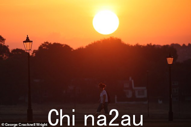 太阳从伦敦东南部的 Blackheath Common 升起,遛狗者在预计 33 摄氏度的高温之前享受凉爽的早晨