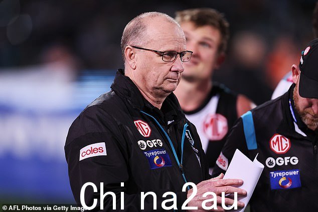 布里斯班 ($1.50) 在周六的 AFL 预选赛决赛中主场击败肯·欣克利 (Ken Hinkley) 的阿德莱德港队 ($2.70) 非常有希望