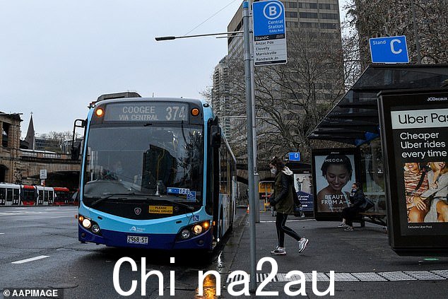 虽然广告上的工资在 70,000 美元到 90,000 美元之间,但如果加上加班费和驾驶双层或双车厢巴士的津贴,工资可能会更高。图为:一名司机正在等待乘客登上悉尼公交车