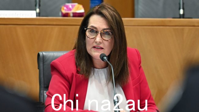 新南威尔士州工党参议员 Deborah O'尼尔强烈否认政府正在考虑征收遗产税。图片：NCA NewsWire / Martin Ollman