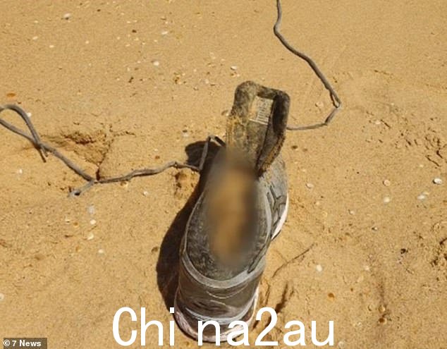 Caddick 的遗体被发现被冲到悉尼以南 400 公里的海滩上(如图:Caddick 的脚部遗骸),其失踪事件仍未解决