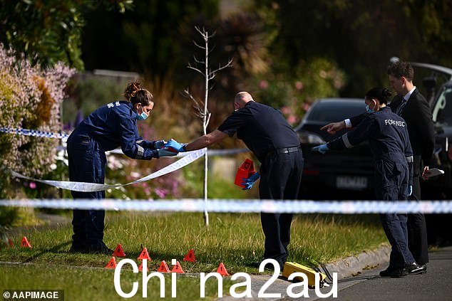 法医人员在街上检查车道上的证据