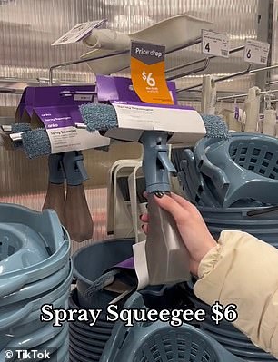 专业清洁工列出了您需要从 Kmart 购买的四种清洁产品,以保持您的房子一尘不染