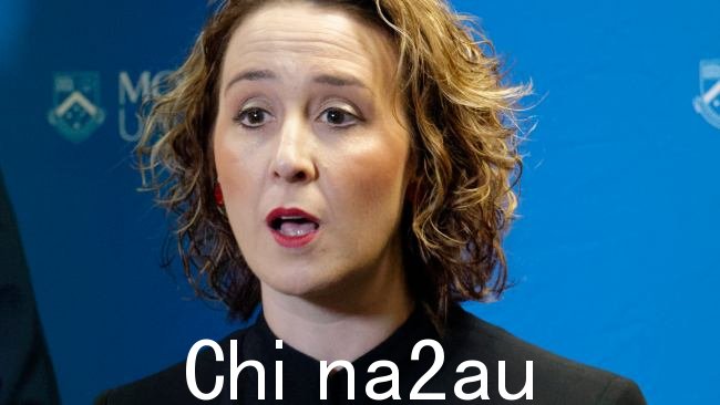 加布里埃尔·威廉姆斯周五表示,安德鲁斯政府“仍在研究”有关墨尔本中央商务区安全注射室的报告。图片:NCA NewsWire / Valeriu Campan