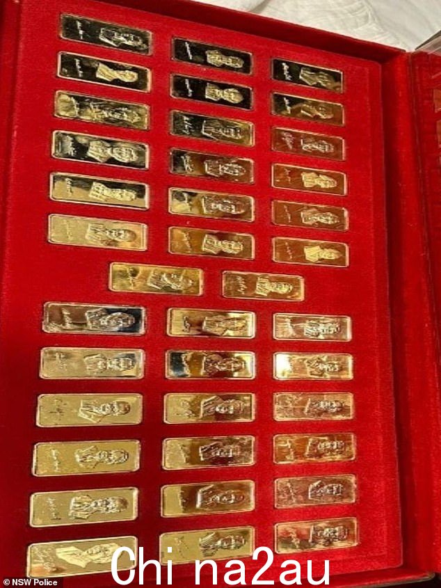 在亚古纳,警方发现并查获了一箱金条,估计价值 80,000 美元(如图)
