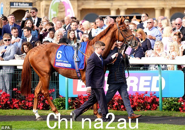 沙漠英雄 6 月 1 日被罚下场,是继 Frankie Dettori 的坐骑 Arrest 之后第三受欢迎的比赛,也是最终的冠军 Continuous