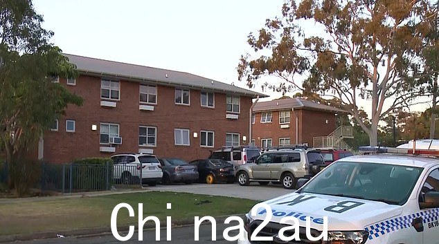 警方仍留在 Villawood 街上,周一清晨,一名男子被刺伤