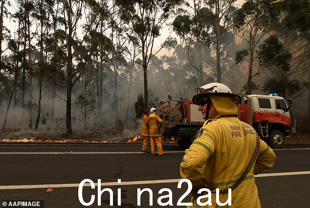 热浪席卷东海岸大部分地区,丛林大火威胁迫在眉睫