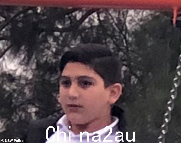 Azaiah El-Hajj, 12 岁、Judah El-Hajj, 9 岁、Mikael El-Hajj, 12 岁和 Malaika El-Hajj, 16 岁最后一次出现在杜恩赛德 (Doonside) 的厄尔街 (Earle Street),周六下午 6.45