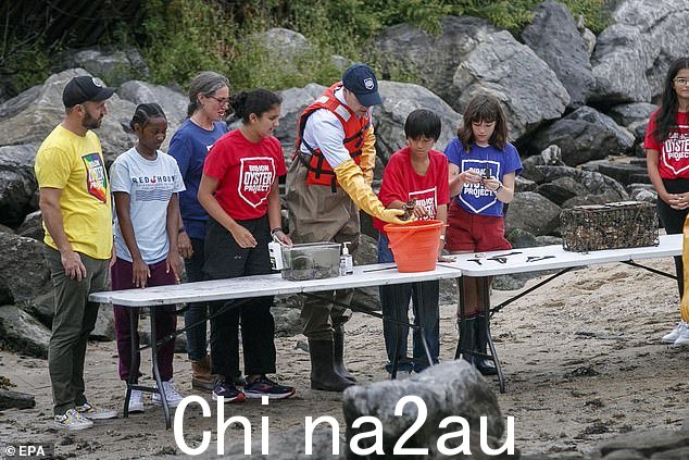 威尔士亲王与十亿牡蛎计划的其他人互动,了解更多有关他们振兴纽约水道的工作