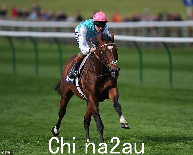 Constitution Hill 与连续 14 场比赛获胜的 Frankel(上图)有着相似的光环