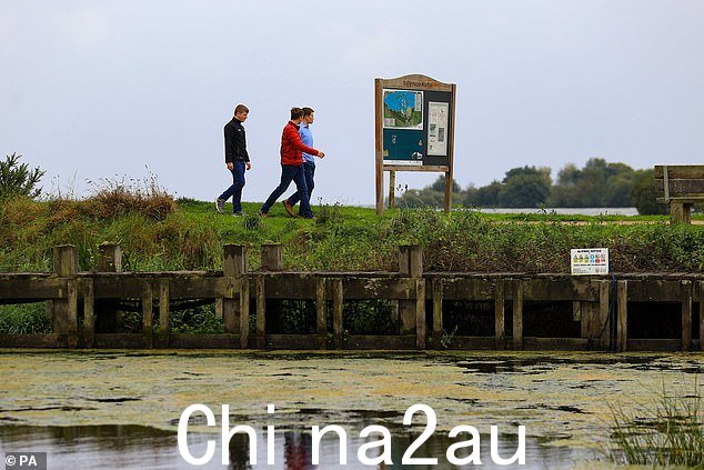 有毒藻类在整个夏季覆盖了北爱尔兰内湖的大部分地区