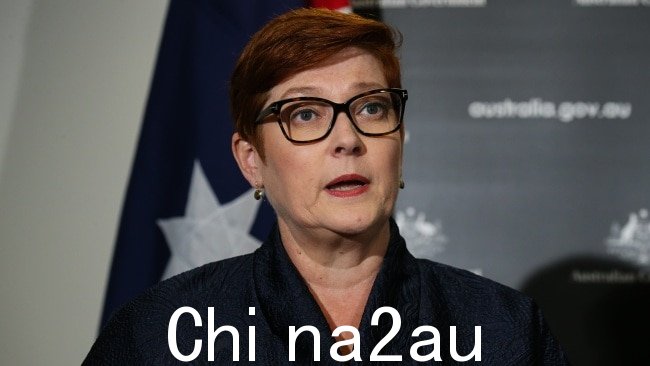 Marise Payne 于 9 月初宣布退出政坛，带来了结束了她26年的政治生涯。图片：Gaye Gerard