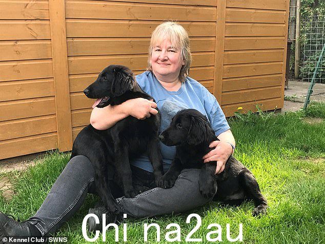 Jan Egginton 失去了她心爱的两岁猎犬 Cove - 在与藻类接触后仅 45 分钟