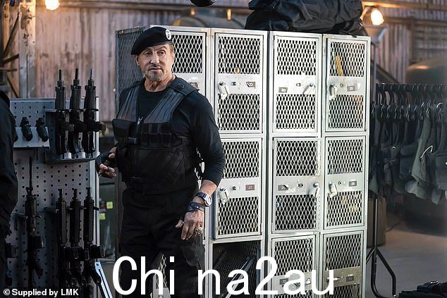 编剧-导演-明星:史泰龙还执导了他与戴夫·卡拉汉姆共同撰写的剧本,该剧本于 2010 年 8 月首映,票房为 3,480 万美元,国内票房为 1.03 亿美元,全球票房为 2.744 亿美元,预算为 8,000 万美元。 =