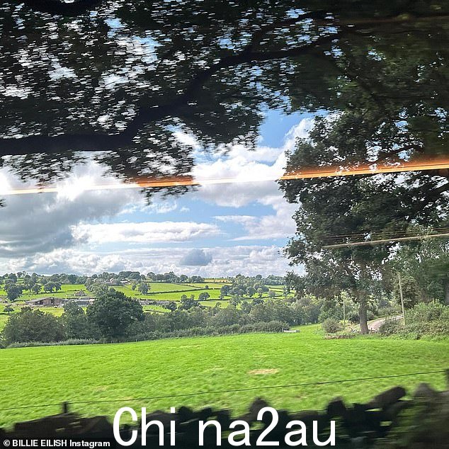 Countryside:Eilish 还分享了一张风景如画的乡村照片,以及她戴着红色眼镜和棕色头巾的超特写自拍照